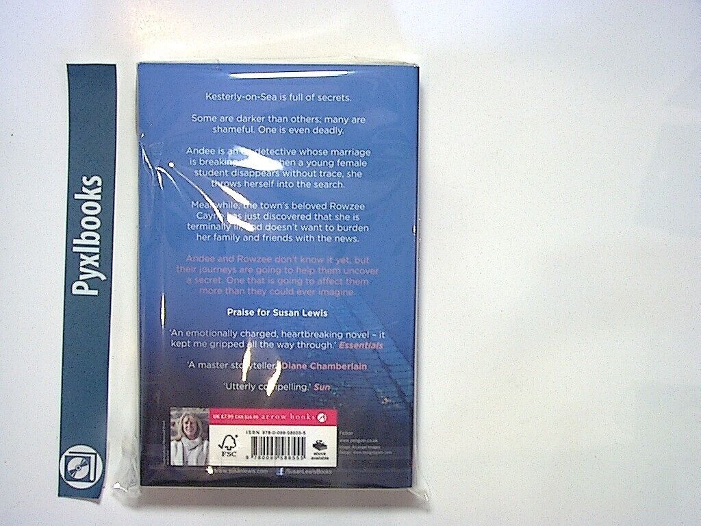 Susan Lewis - The Moment She Left PB New