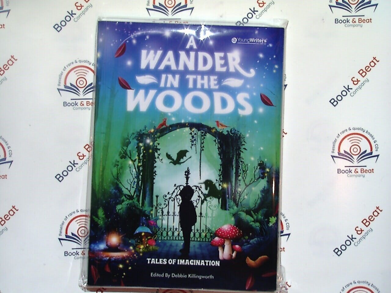 A Wander In The Woods : Tales Of Imagination - Young Writers PB New