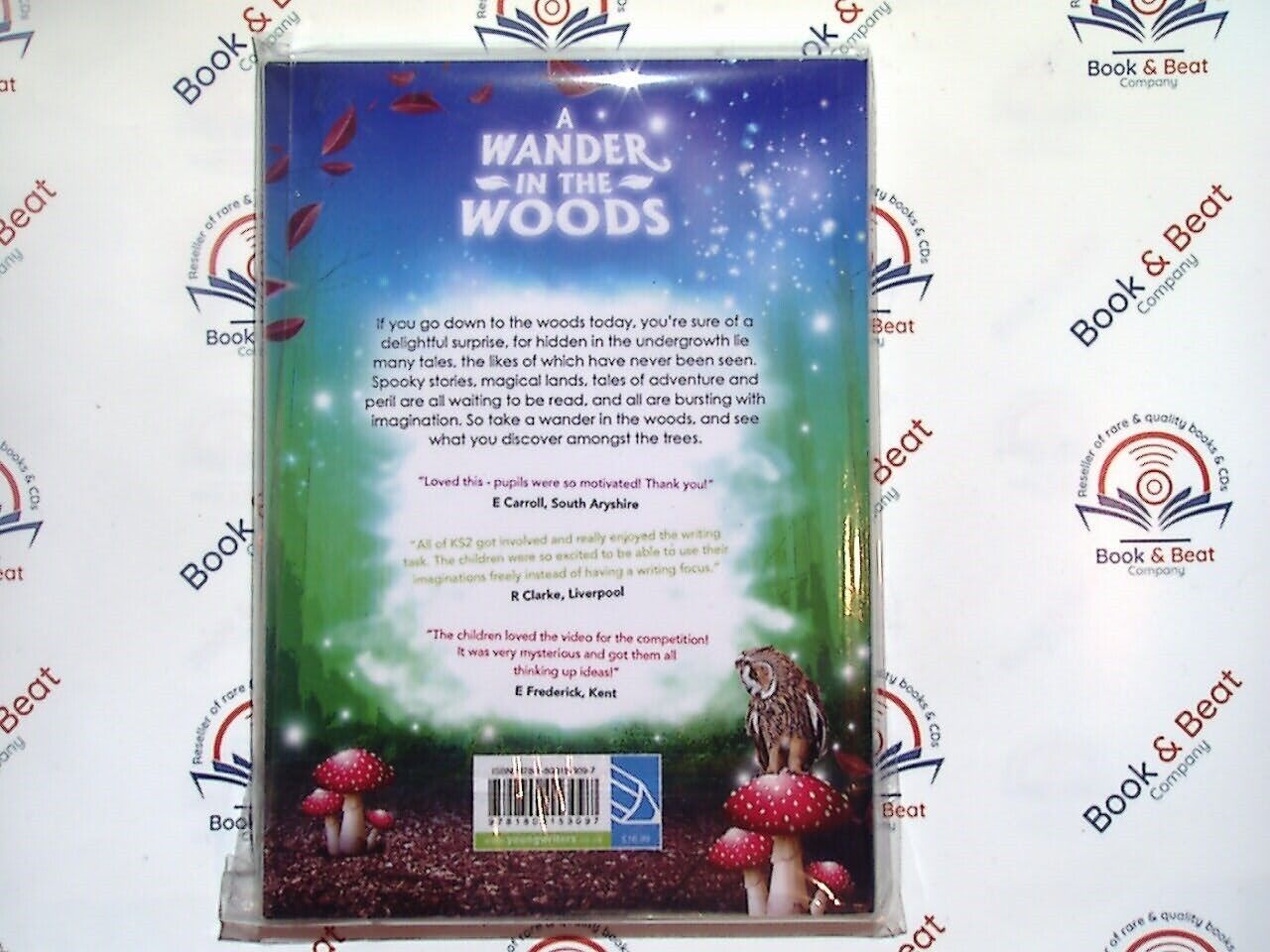 A Wander In The Woods : Tales Of Imagination - Young Writers PB New