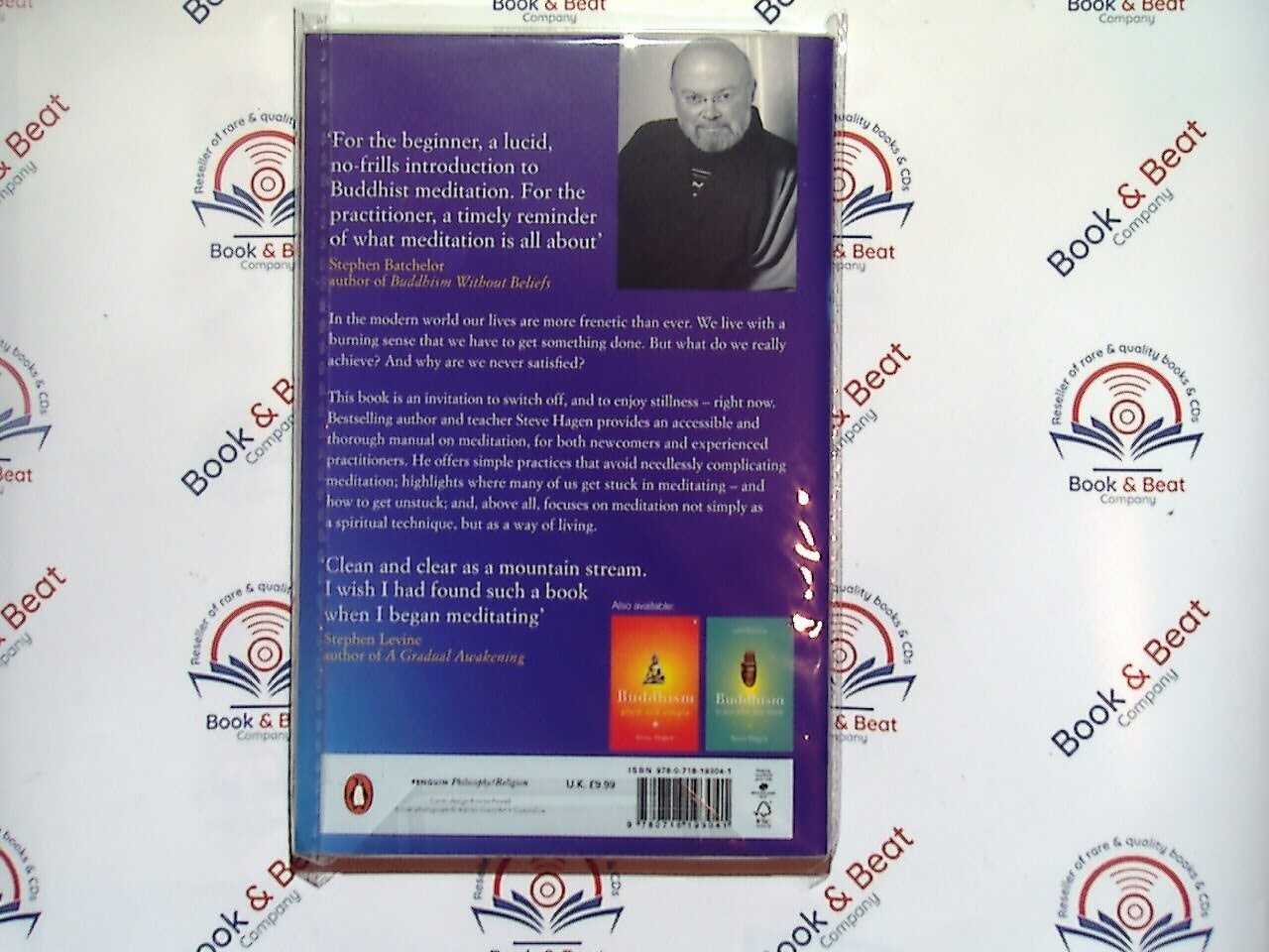 Meditation Now or Never - Steve Hagen PB New