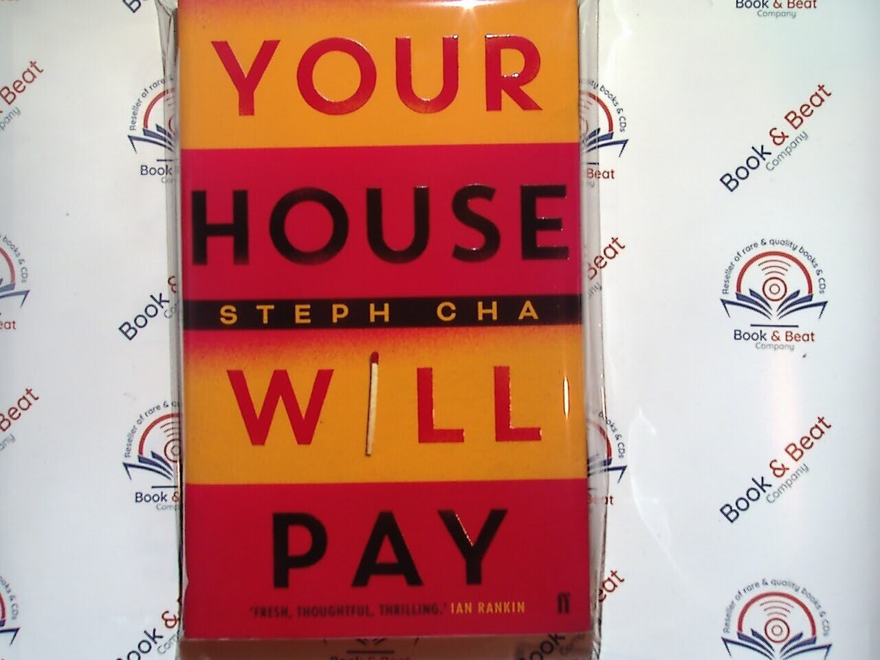 Your House Will Pay - Steph Cha PB New