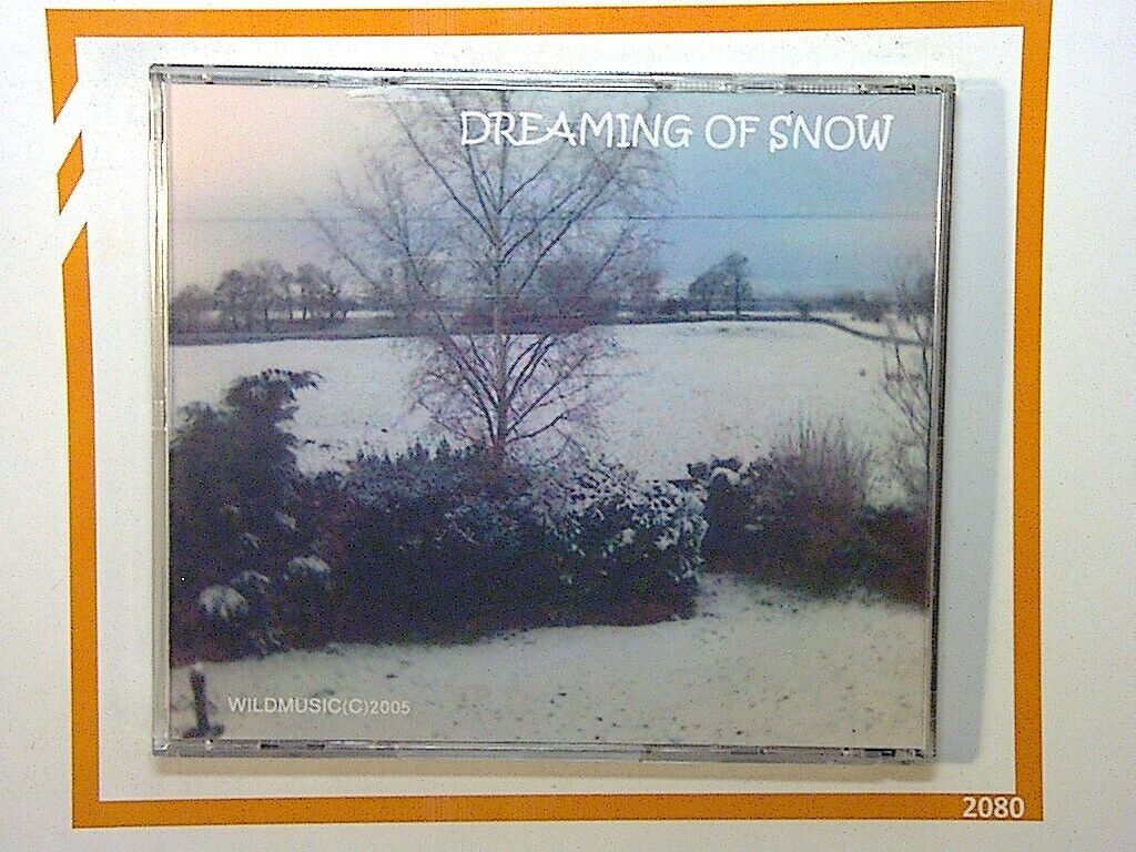 Wayne Willday Dreaming of snow CD Mint