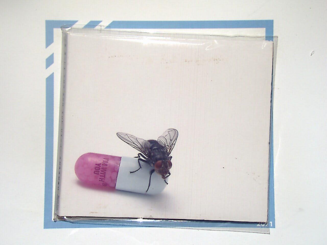Red Hot Chili Peppers	I'm With You CD Mint
