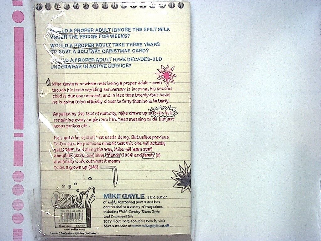 Mike Gayle - The To-Do List Paperback New