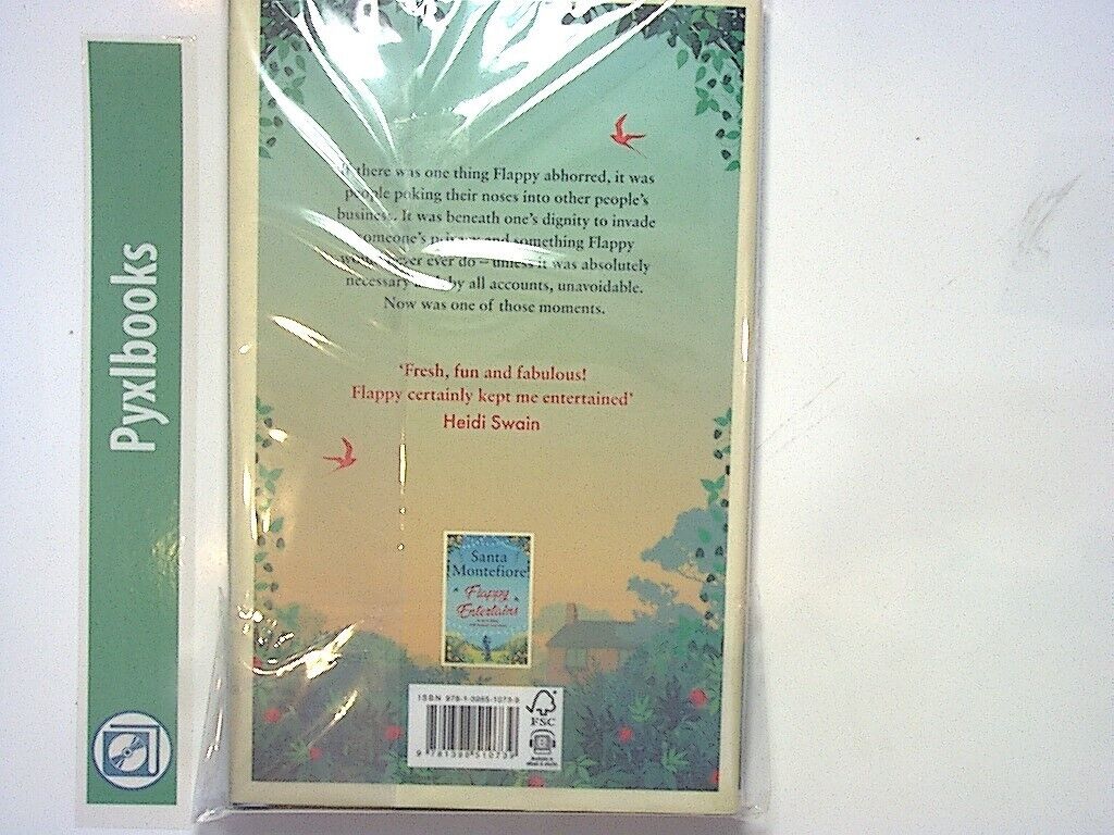 Santa Montefiore - Flappy Investigates Hardcover New