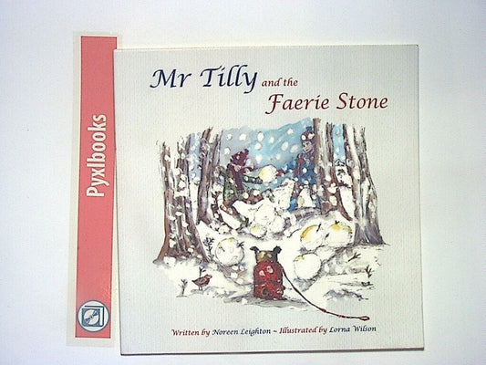 Noreen Leighton - Mr Tilly & The Faerie Stone PB Like New