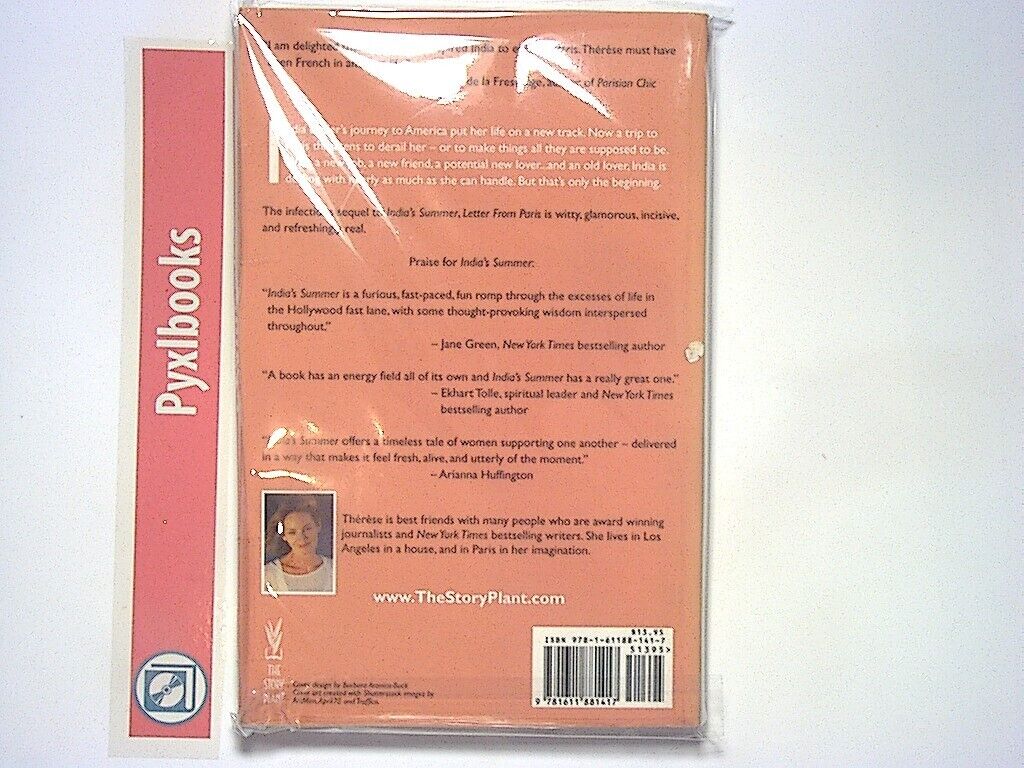 Thérèse (Therese) - Letter from Paris A Novel English PB NEW