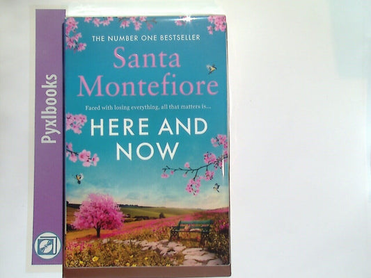 Santa Montefiore - Here and Now Paperback New