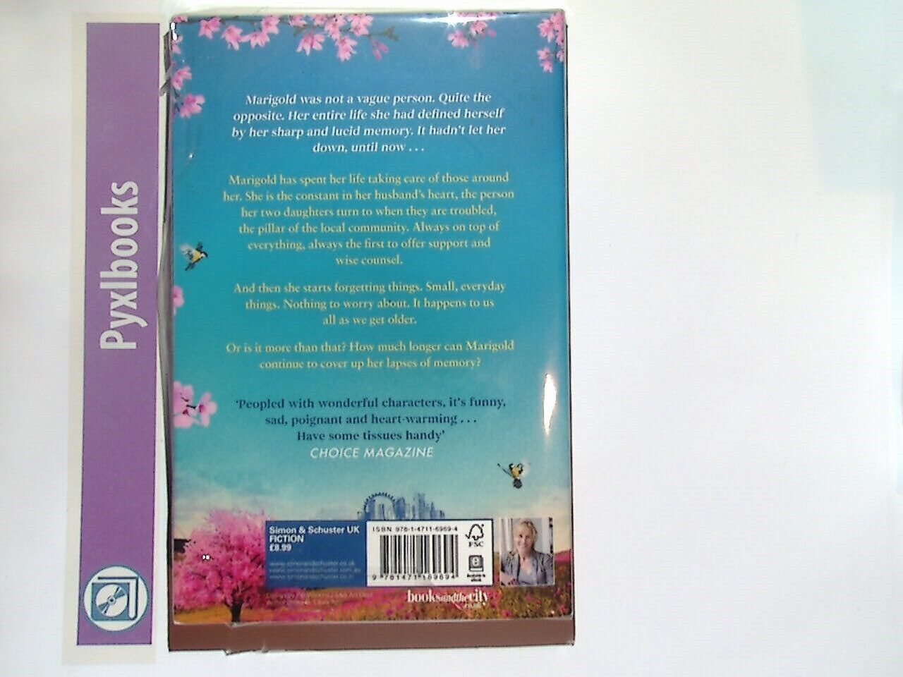 Santa Montefiore - Here and Now Paperback New