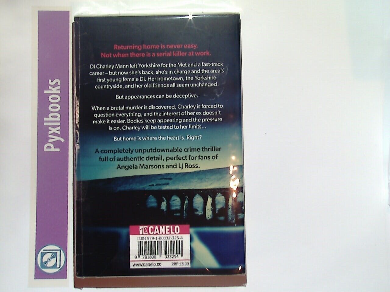 R.C. Bridgestock - Payback  (DI Charley Mann Crime Thrillers 1) Paperback New