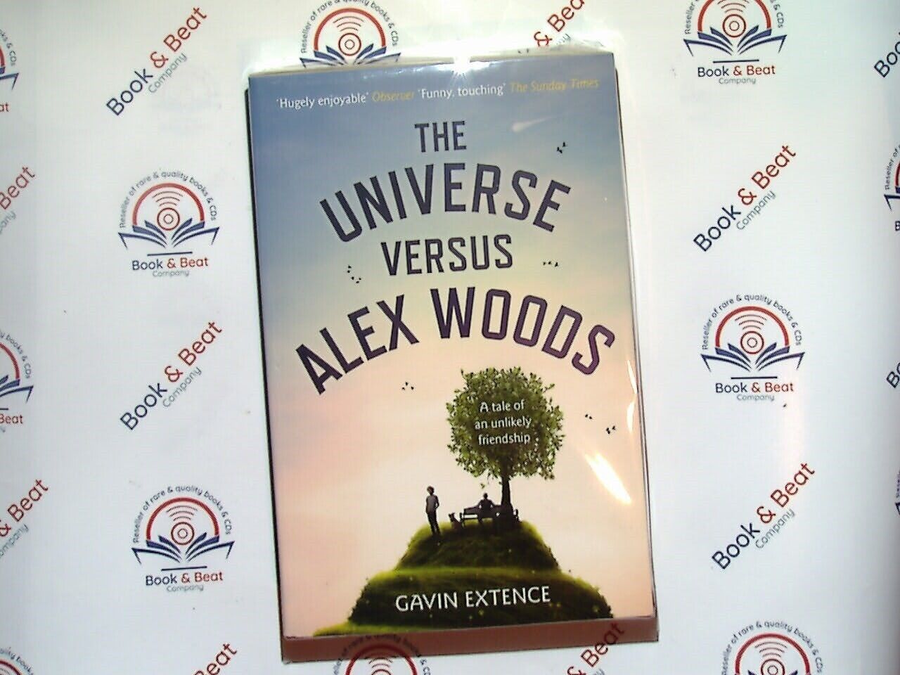 The Universe Versus Alex Woods - Gavin Extence PB New