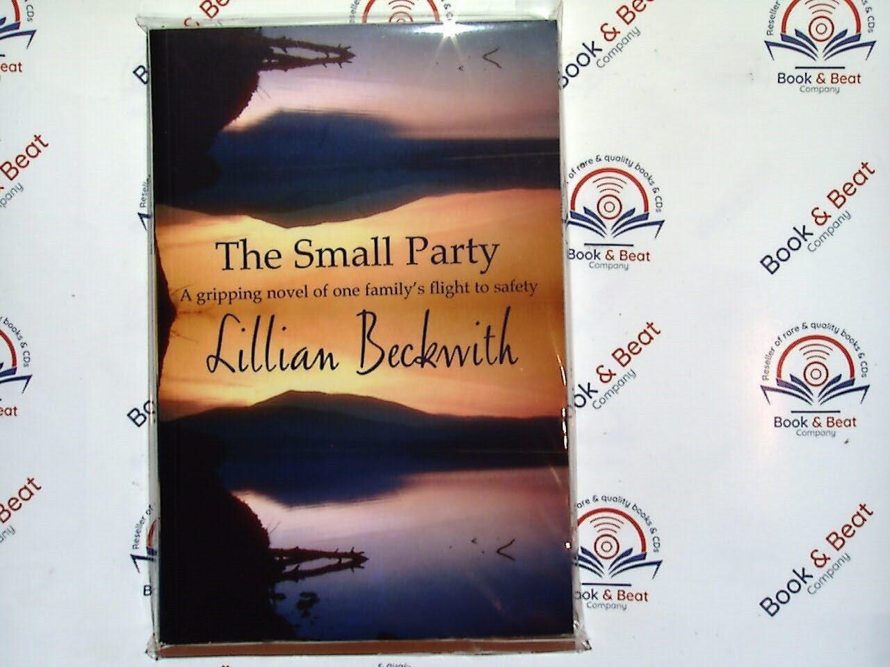 Small Party - Lillian Beckwith PB NEW