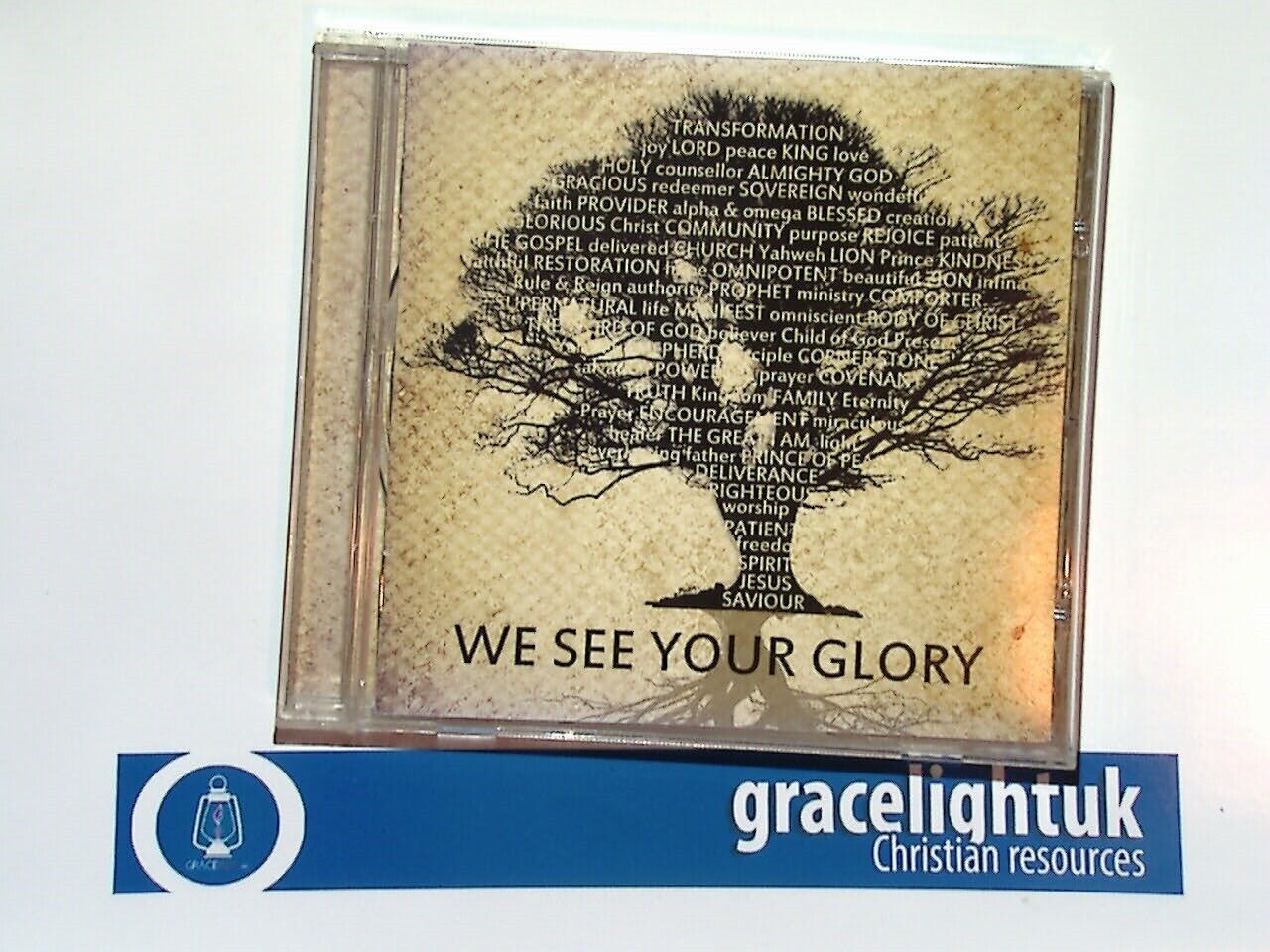Ministries Without Borders	We See Your Glory CD VGC
