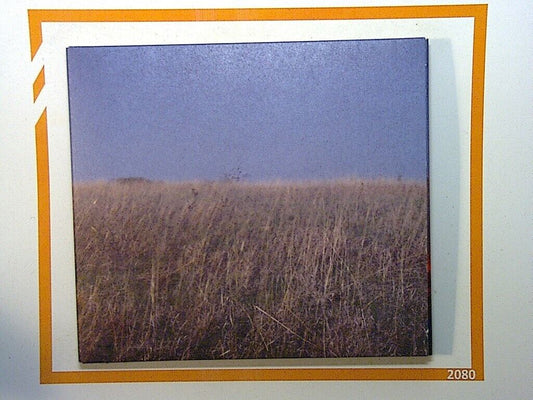 The Maccabees	Given To The Wild CD VGC