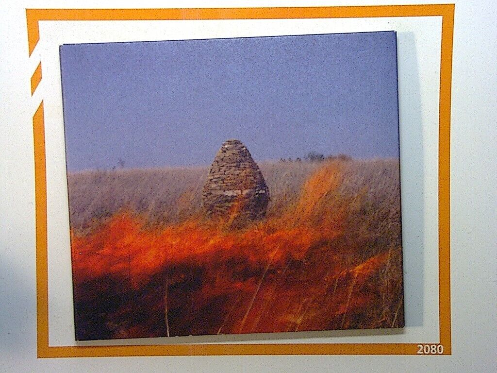 The Maccabees	Given To The Wild CD VGC