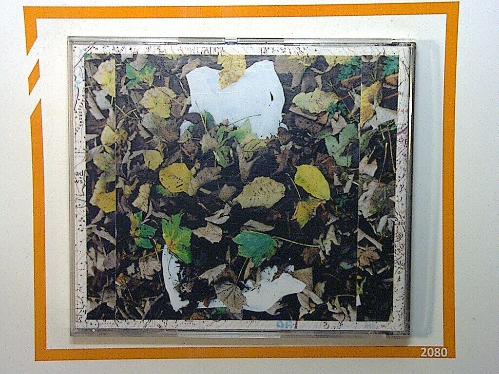 The Buried Vest of Crag Band CD Nr Mint