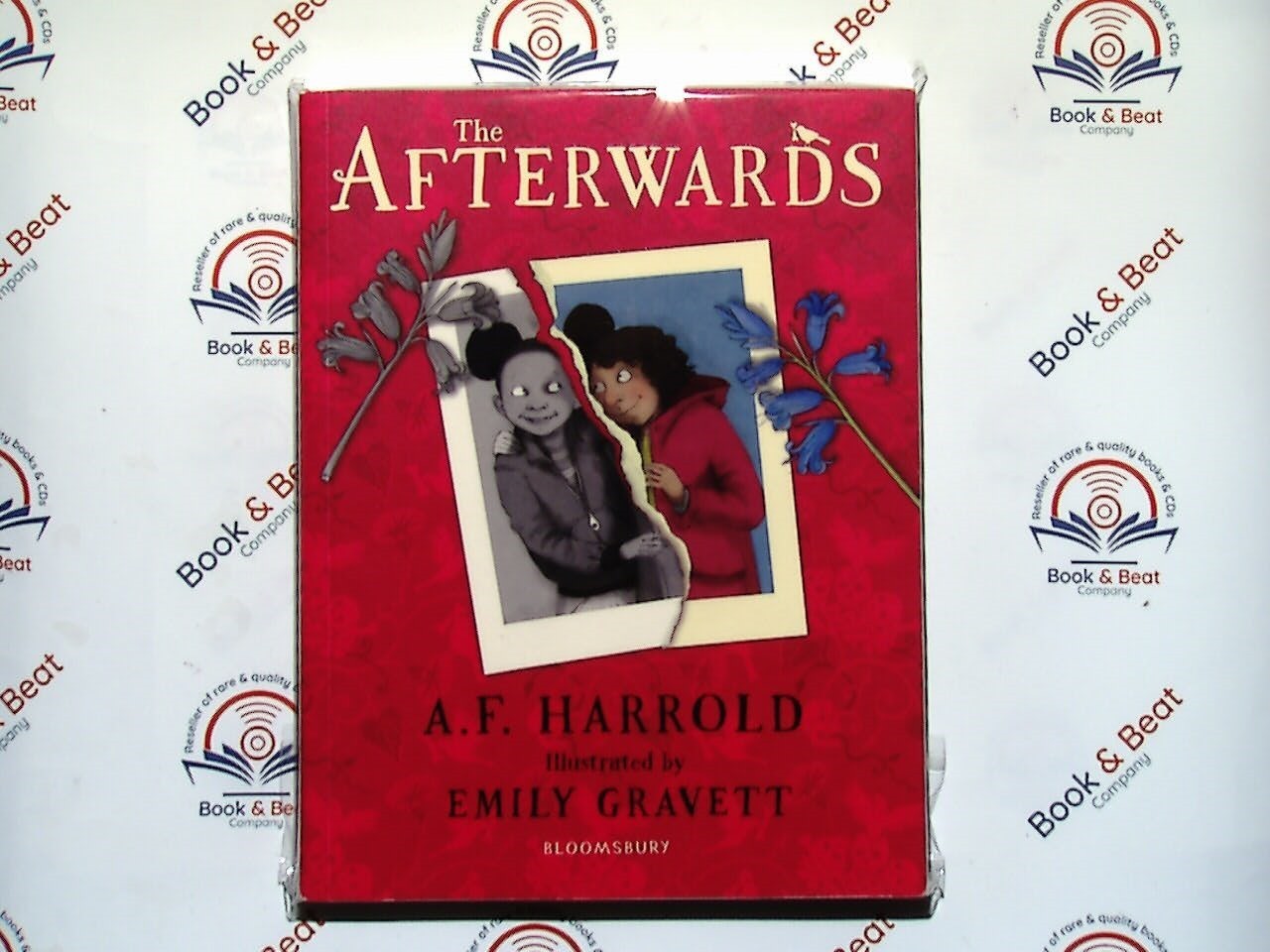 The Afterwards - A.F. Harrold & Emily Gravett PB New