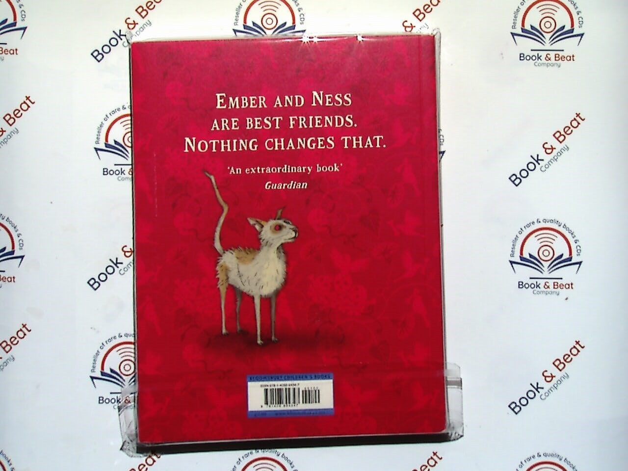 The Afterwards - A.F. Harrold & Emily Gravett PB New