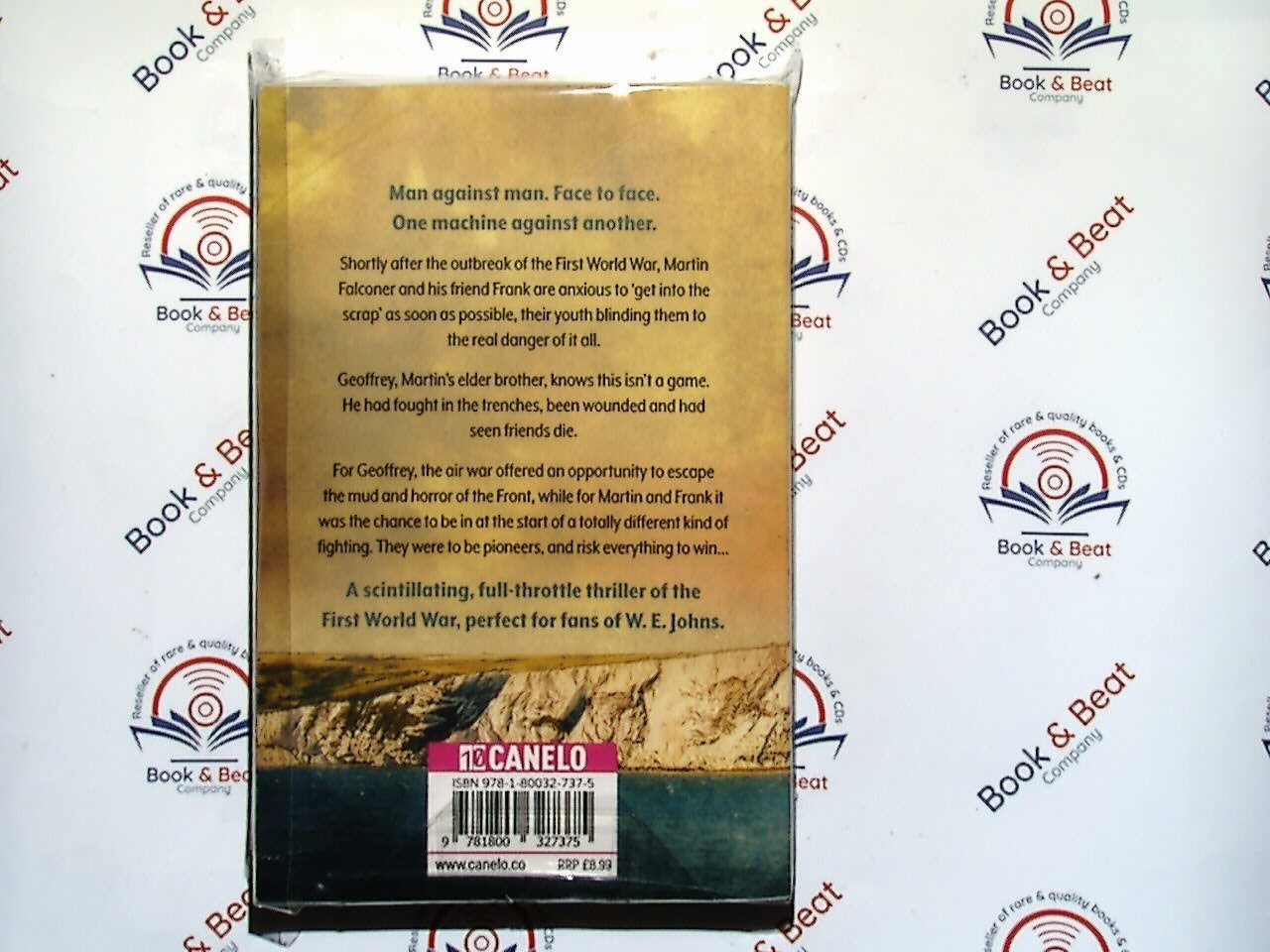 The Fledglings (The Martin Falconer Thrillers Book 1) - Max Hennessy PB New