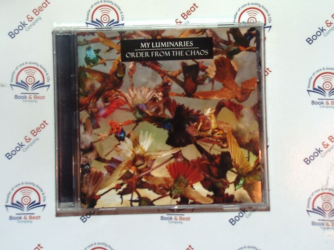 bookandbeat.com, My Luminaries, Order From The Chaos, indie rock, alternative music, emotional rock, atmospheric music, music album, new release, alt-rock band, dynamic sound, thought-provoking lyrics, modern rock, music collection, chaotic themes, album release.