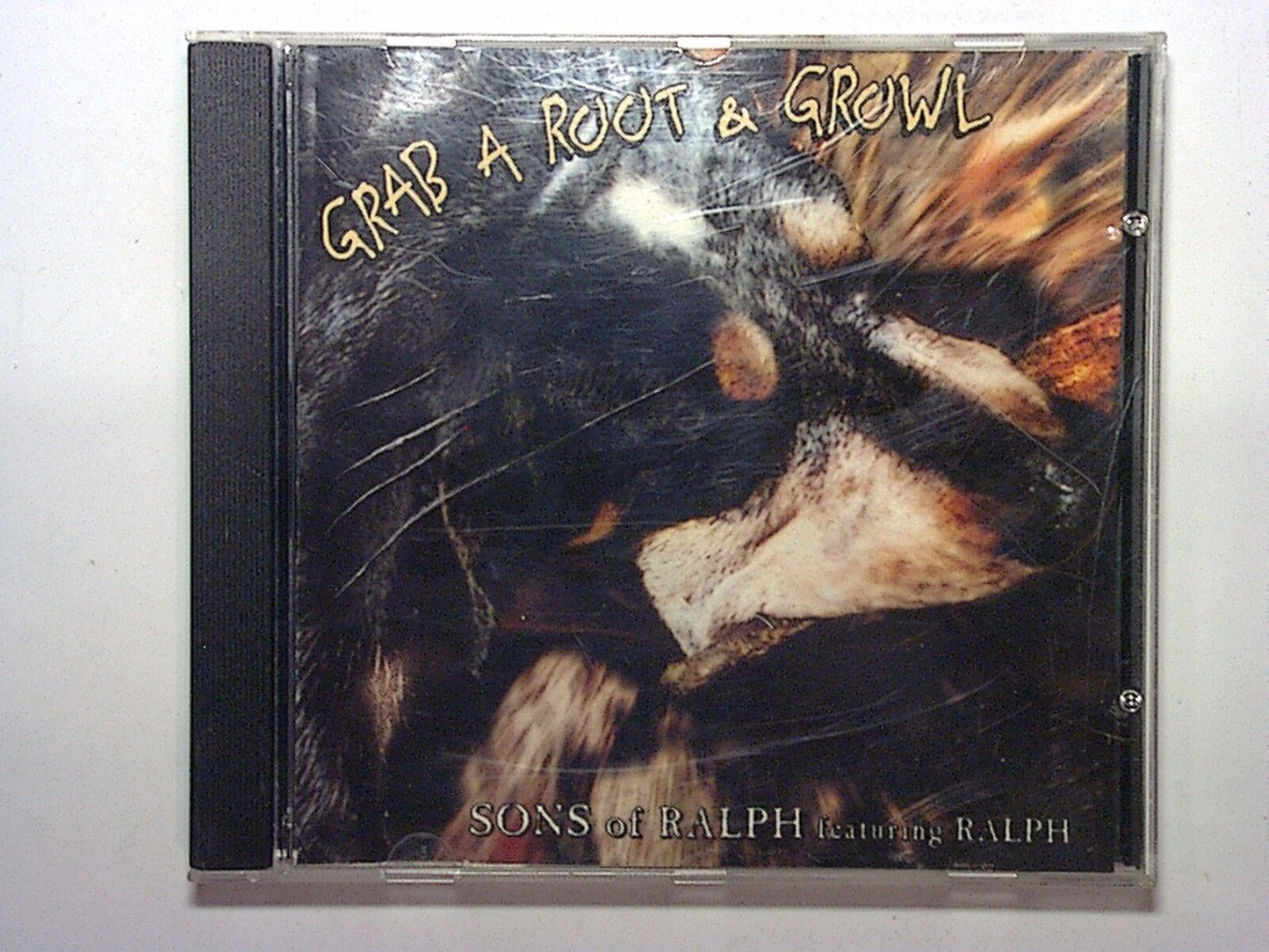 bookandbeat.com, CD, Sons of Ralph, Featuring Ralph, Grab A Root & Growl, bluegrass, folk rock, Americana, Appalachian music, family band, traditional roots, lively tunes, energetic sound, unique style, mountain music, acoustic guitar, fiddle, banjo, folk revival, Southern influence, down-home feel, storytelling, catchy melodies, authentic sound