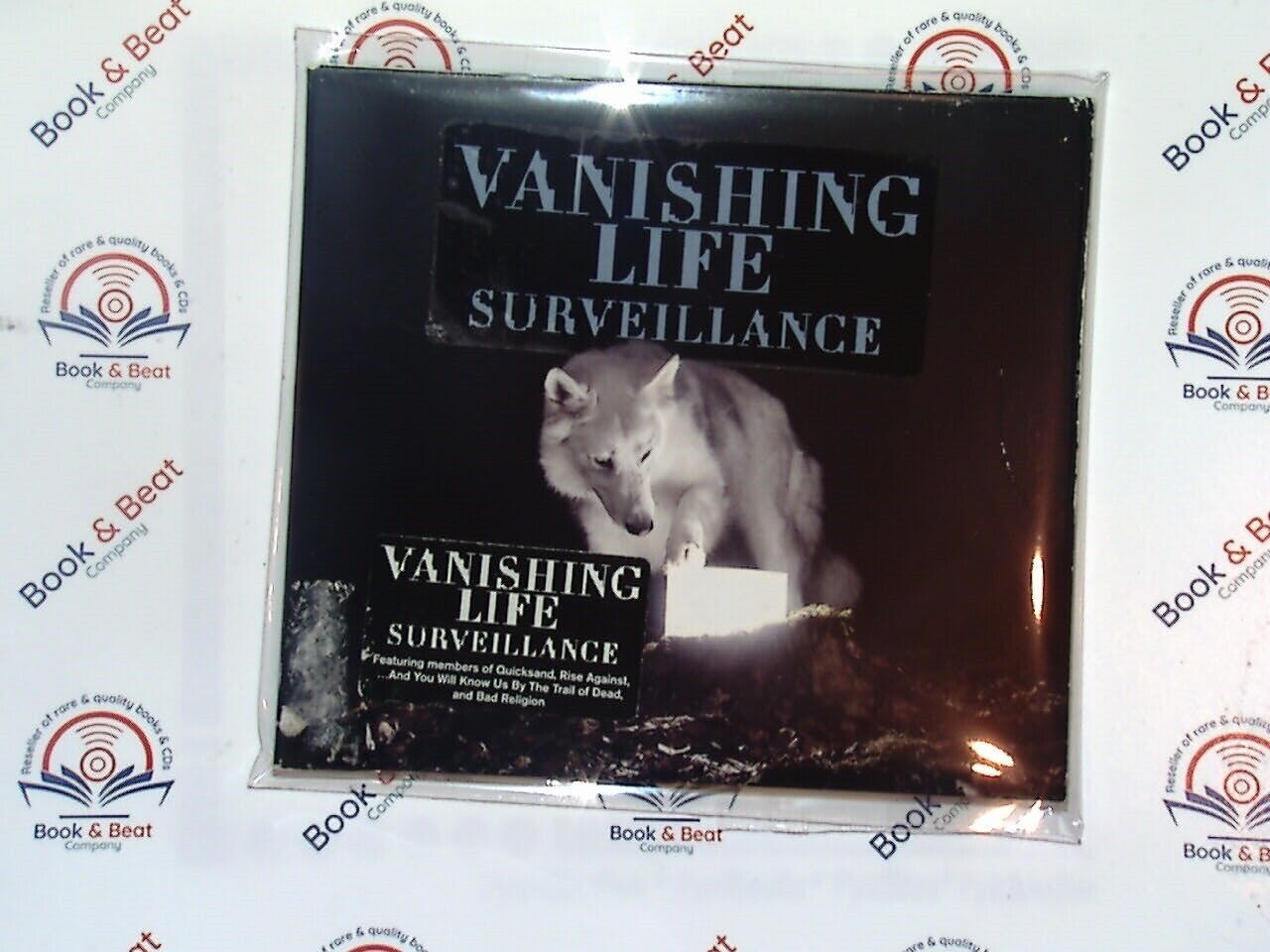 Vanishing Life, Surveillance, Punk rock, Alternative rock, CD, Post-hardcore, Indie rock, 2010s music, Bookandbeat.com, Energetic, Guitar-driven, Hard rock, Aggressive sound, Underground rock, Political themes, Raw energy, Heavy riffs, Rock fans, Modern punk, Rock album, Dynamic sound,
