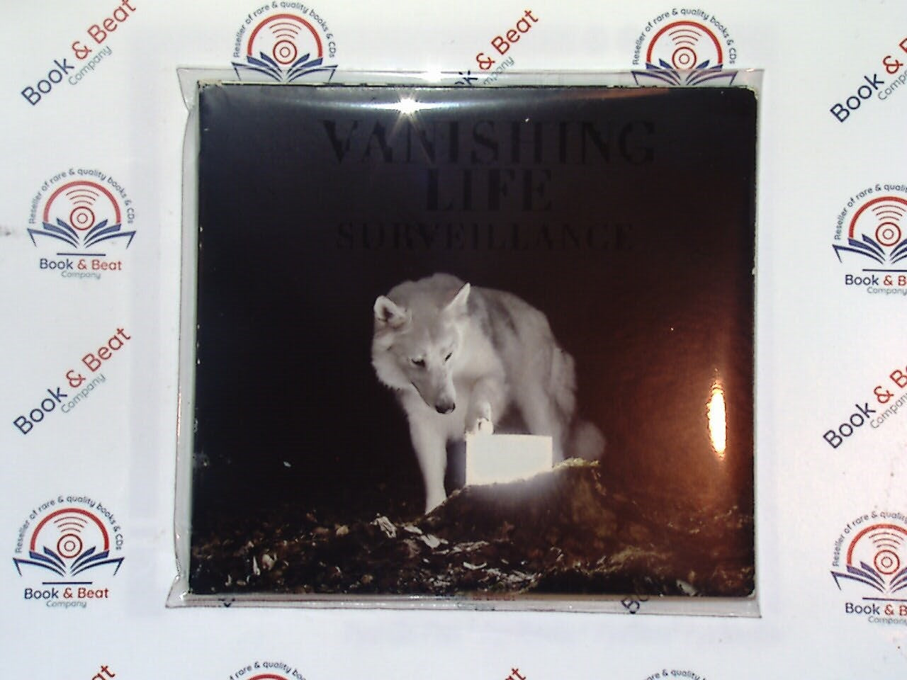 Vanishing Life, Surveillance, Punk rock, Alternative rock, CD, Post-hardcore, Indie rock, 2010s music, Bookandbeat.com, Energetic, Guitar-driven, Hard rock, Aggressive sound, Underground rock, Political themes, Raw energy, Heavy riffs, Rock fans, Modern punk, Rock album, Dynamic sound,