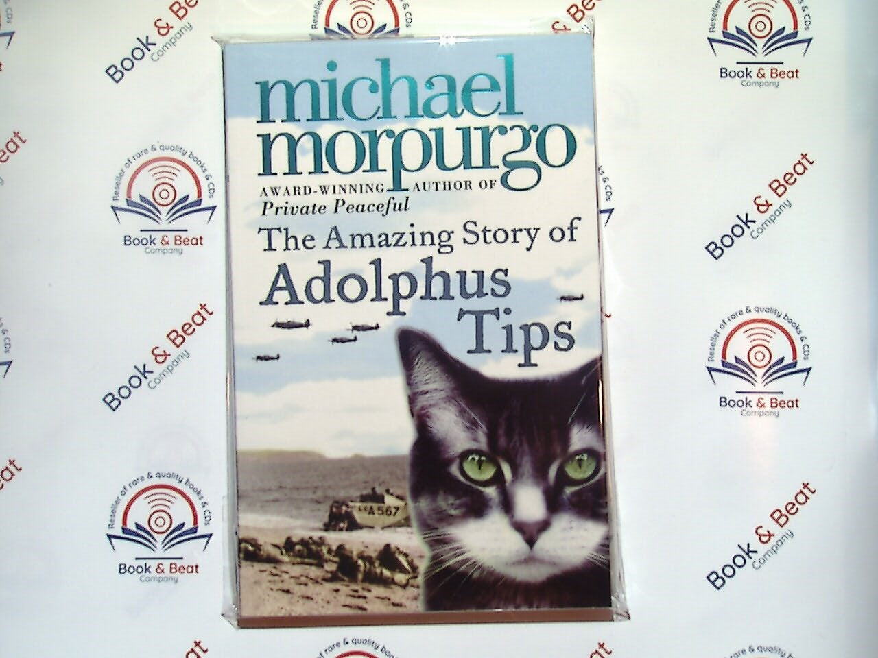Michael Morpurgo, The Amazing Story of Adolphus Tips children's literature, historical fiction, music, memory, World War II, family history, themes of healing, young adult, poignant storytelling, British author, emotional journey, character development, love for music, refugees, friendship, resilience, moral lessons, coming-of-age.