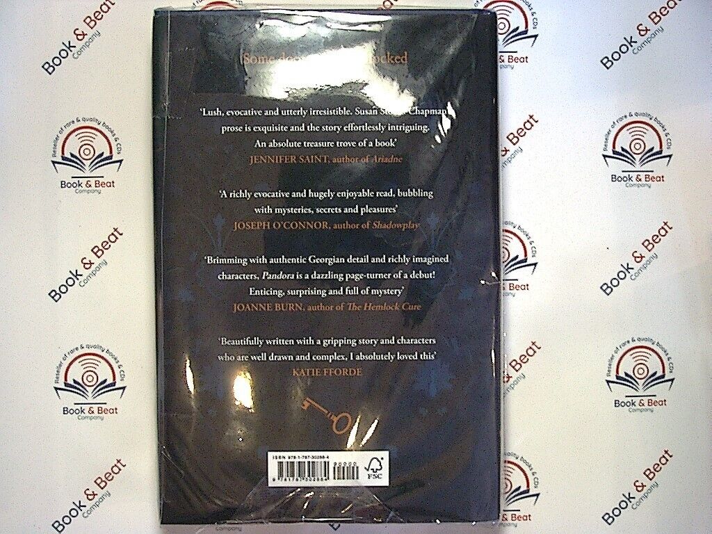 bookandbeat.com, book, Susan Stokes-Chapman, fiction, literary fiction, Pandora, mystery, adventure, historical fiction, character-driven, immersive storytelling, art and culture, suspense, emotional depth, unique narrative, book club read, engaging plot, thought-provoking, reading list, contemporary literature, new release,